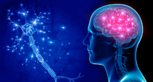 brain lights
