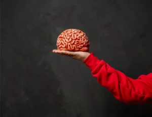 Neuroprotection in Neurological Diseases Current Strategies and Future Prospects